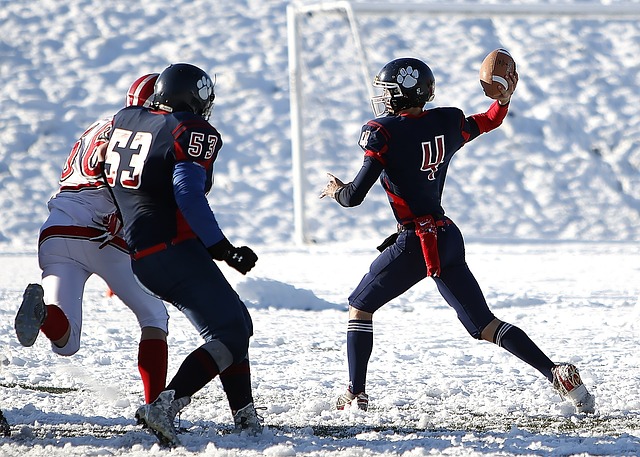 的唯一途径 的唯一途径