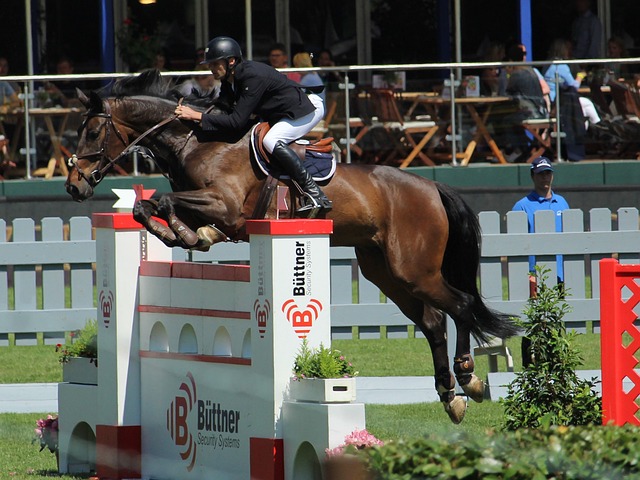 位置上有着 位置上有着