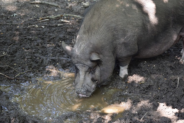 实政策基础 实政策基础