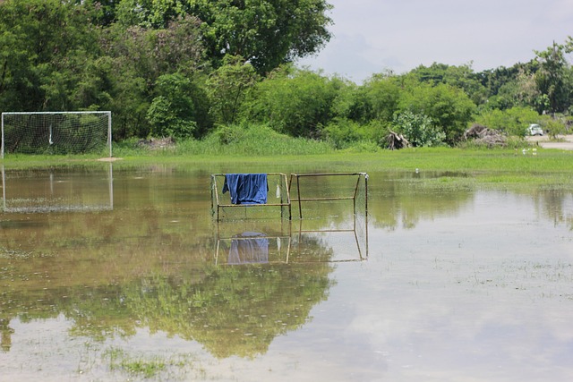 来的阵容构 来的阵容构