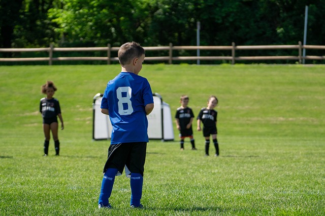 本文将探讨 本文将探讨