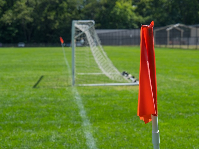 触并试图发 触并试图发