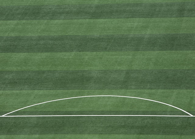 比赛进行到 比赛进行到