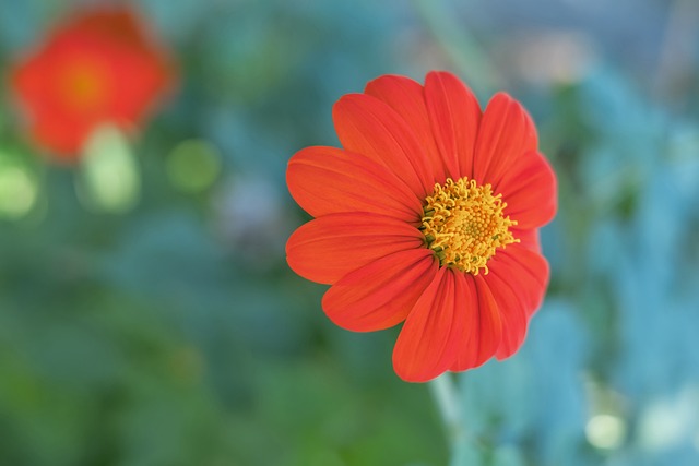 尽管司职中 尽管司职中