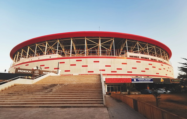 的统治力 的统治力